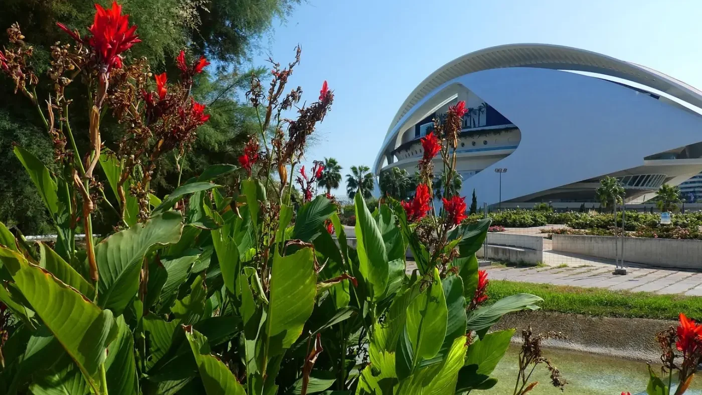 Fleurs dans les jardins de Turia à Valence
